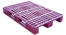 palet plástico bodegas