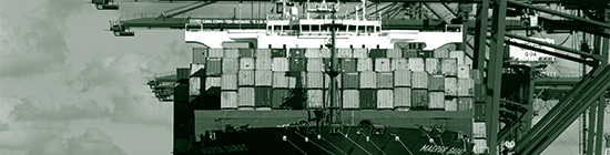 portada exportación 550x140