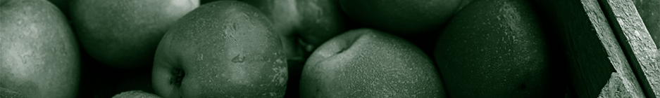 portada alimentación 937x140