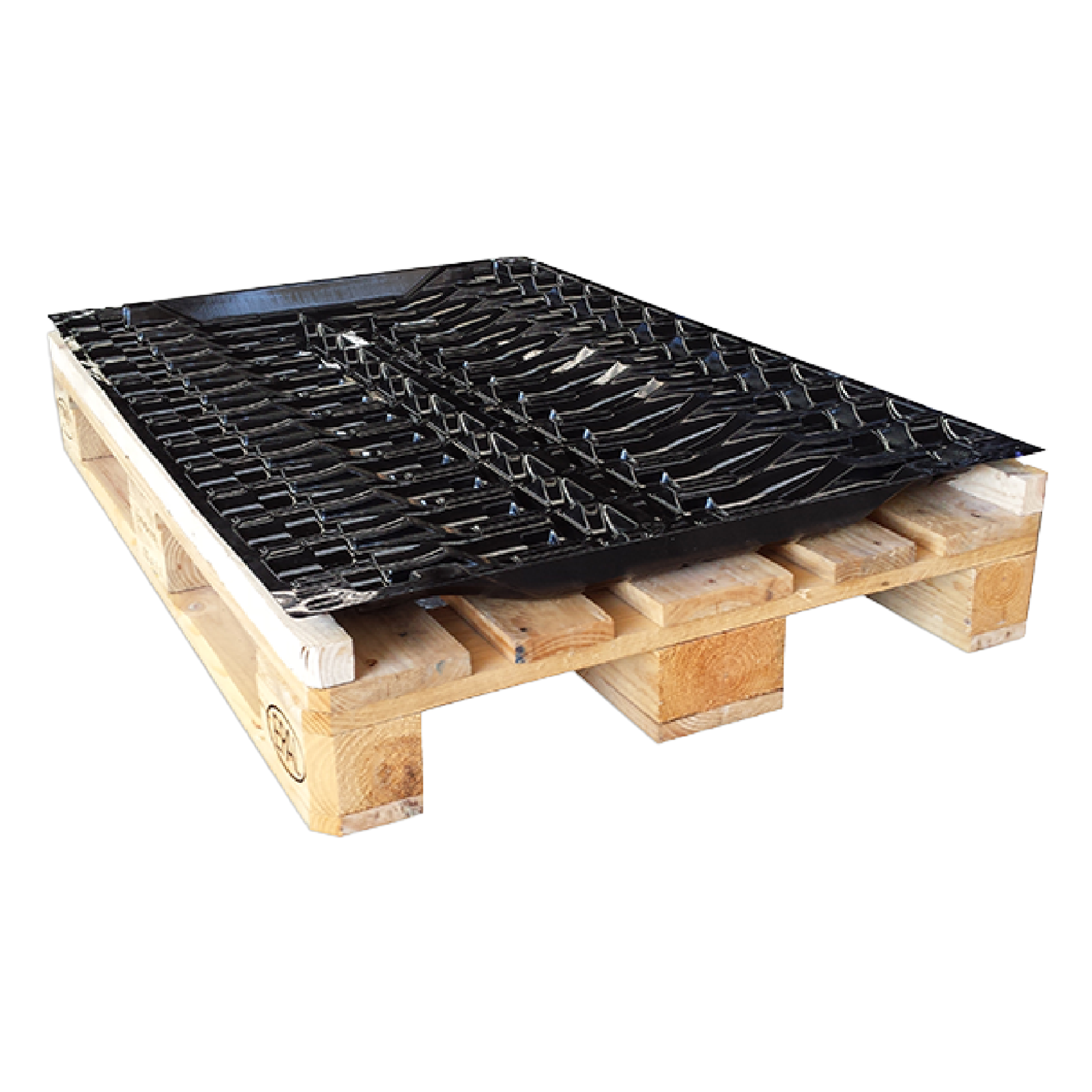 Bandeja de plástico para botellas de vino sobre palet de madera para transporte y almacenaje